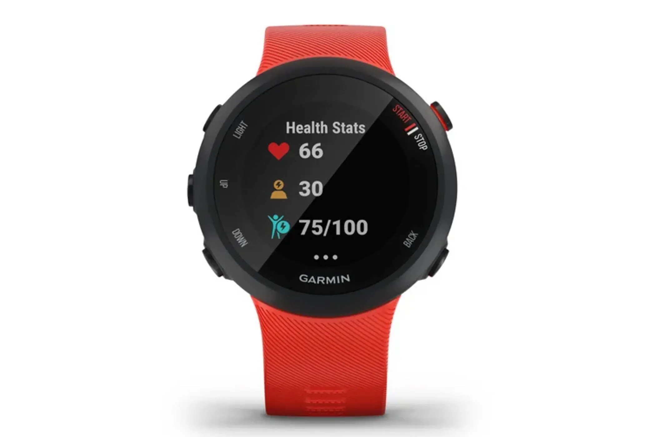 Garmin Forerunner 45 Smartwatch Lava Red