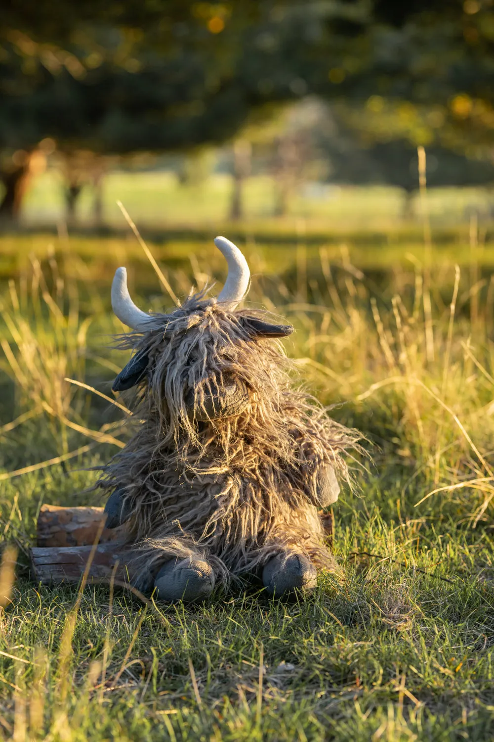 Henry the Highland Cow Charcoal