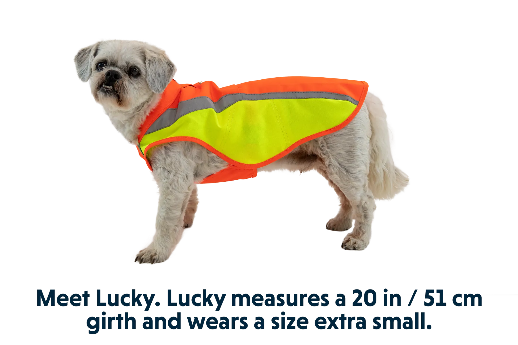 Lumenglow™ Hi-Vis Dog Jacket