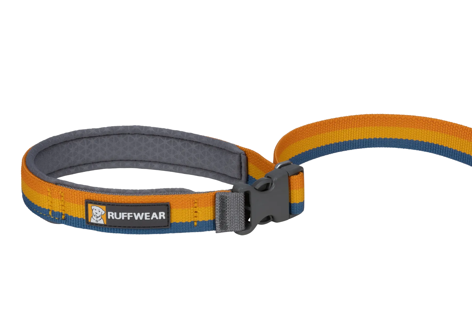 Roamer™ Bungee Dog Leash