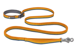 Roamer™ Bungee Dog Leash