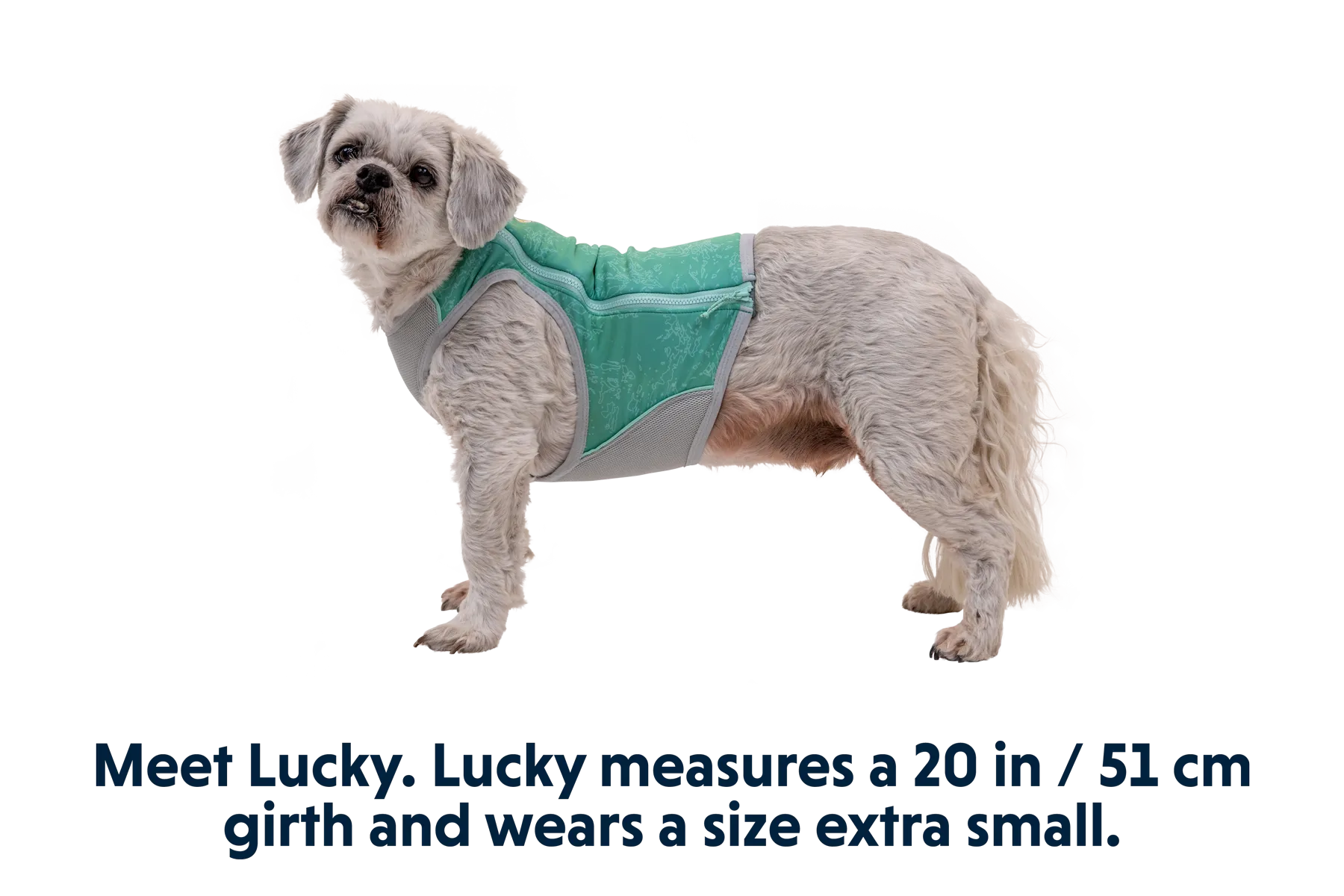 Swamp Cooler Zip™ Cooling Dog Vest